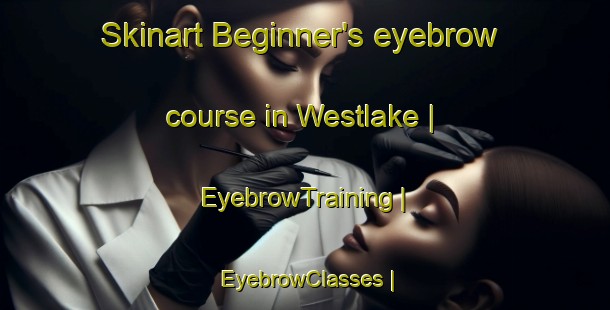 Skinart Beginner's eyebrow course in Westlake | EyebrowTraining | EyebrowClasses | SkinartTraining-Australia